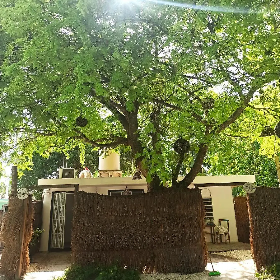 Casa Arte Bacalar Apartment